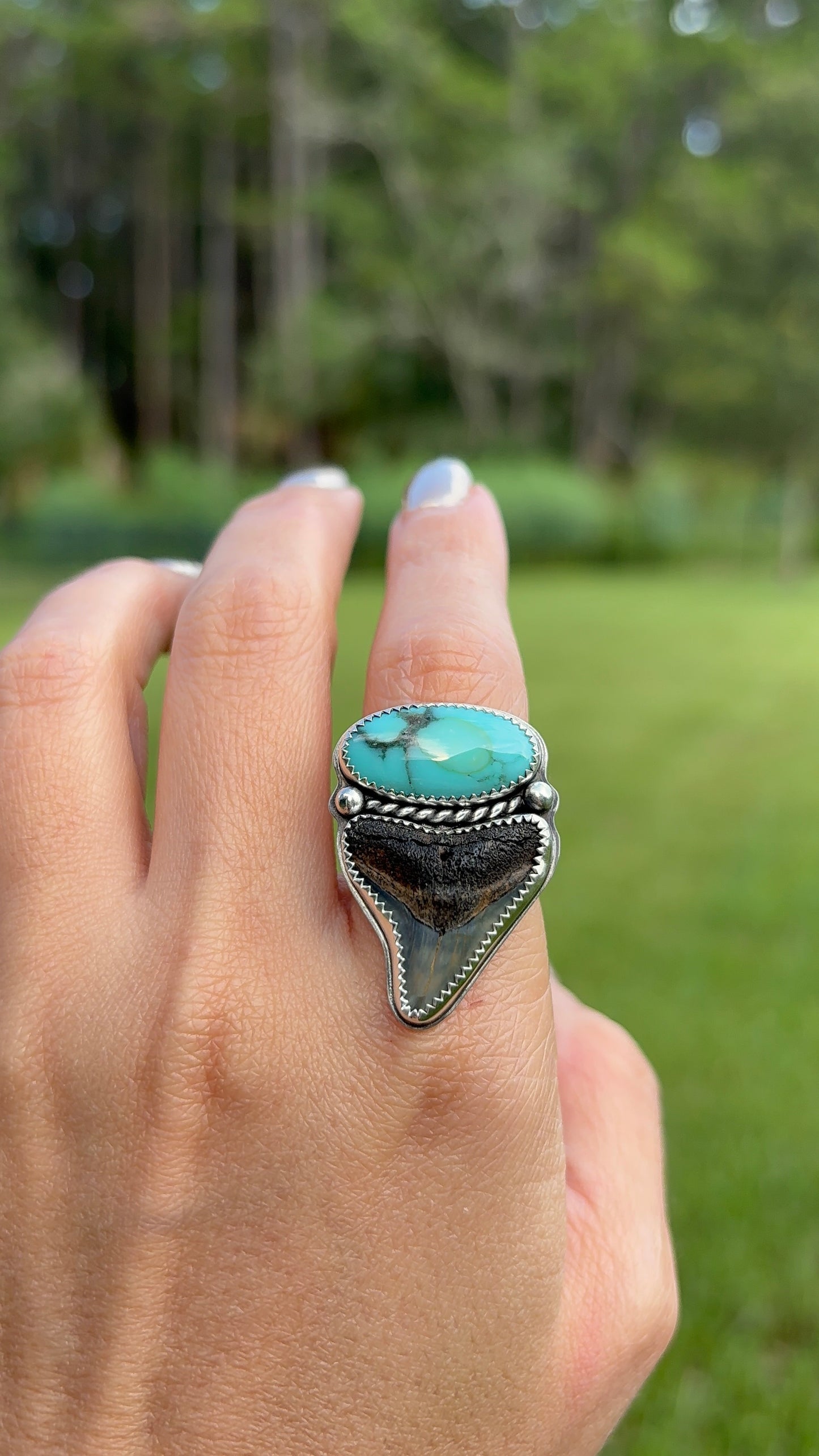 Shark Tooth & Turquoise Ring