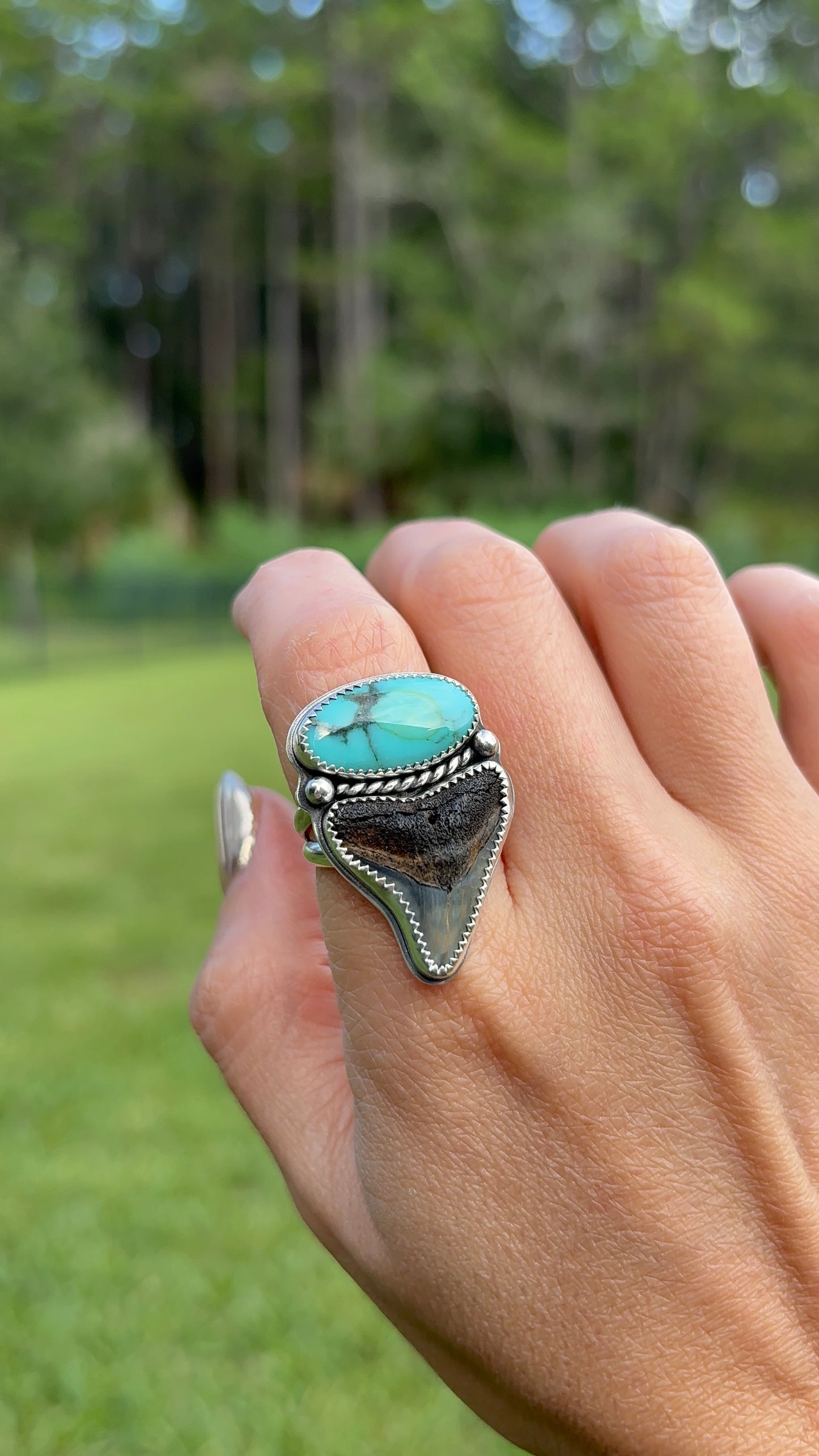 Shark Tooth & Turquoise Ring