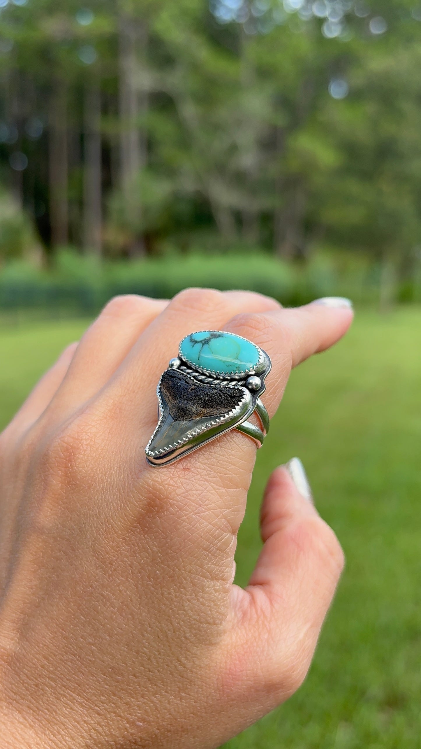 Shark Tooth & Turquoise Ring