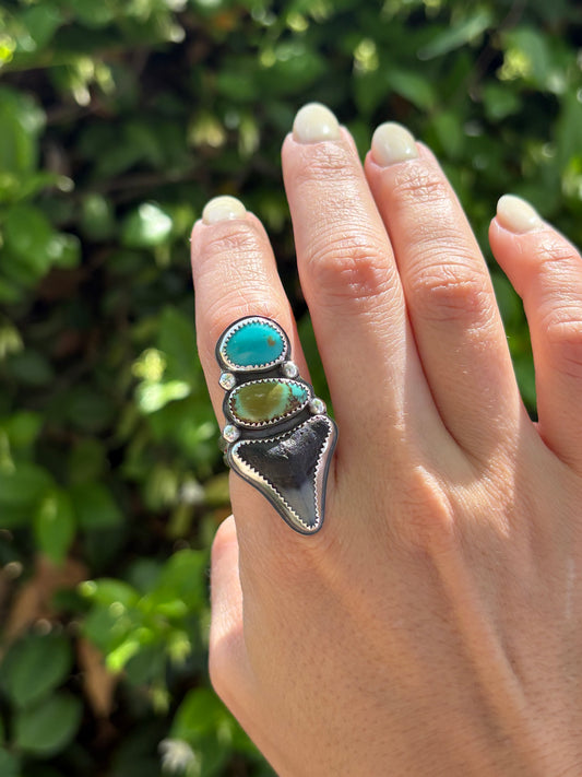 Turquoise & Shark Tooth Ring