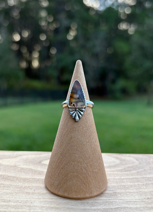 Montana Agate & NZ Abalone Ring