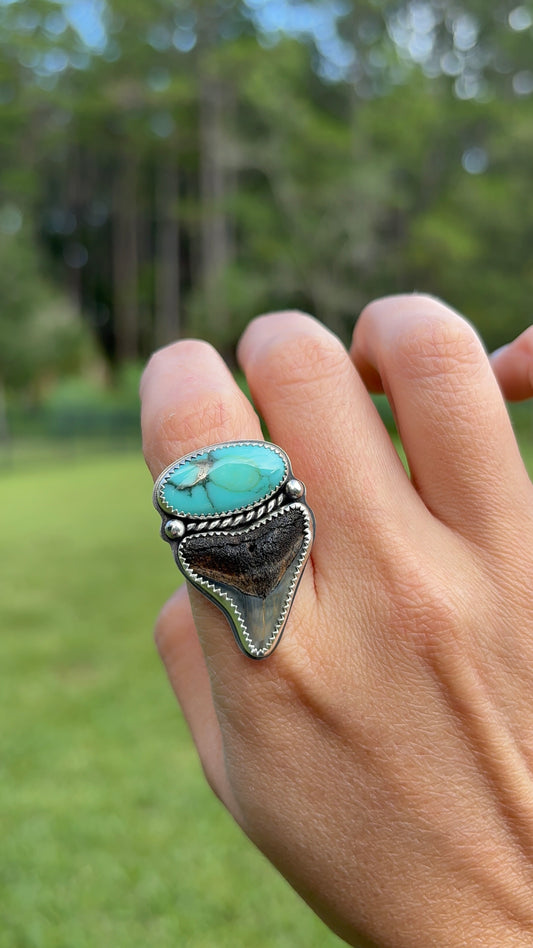 Shark Tooth & Turquoise Ring
