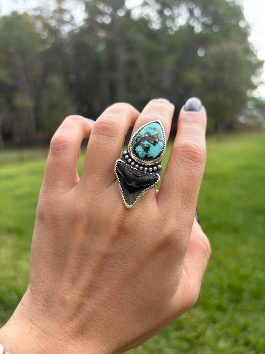 Shark Tooth & Turquoise Ring